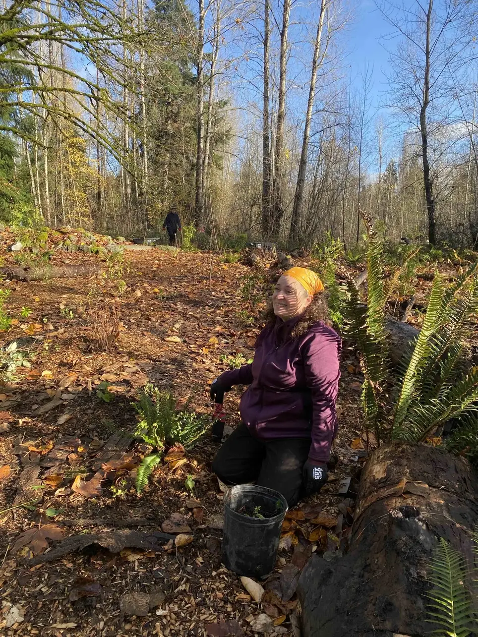 10/31 Swamp Creek Habitat Restoration Project Work Party (in Kenmore) - Wallace Swamp Creek Park