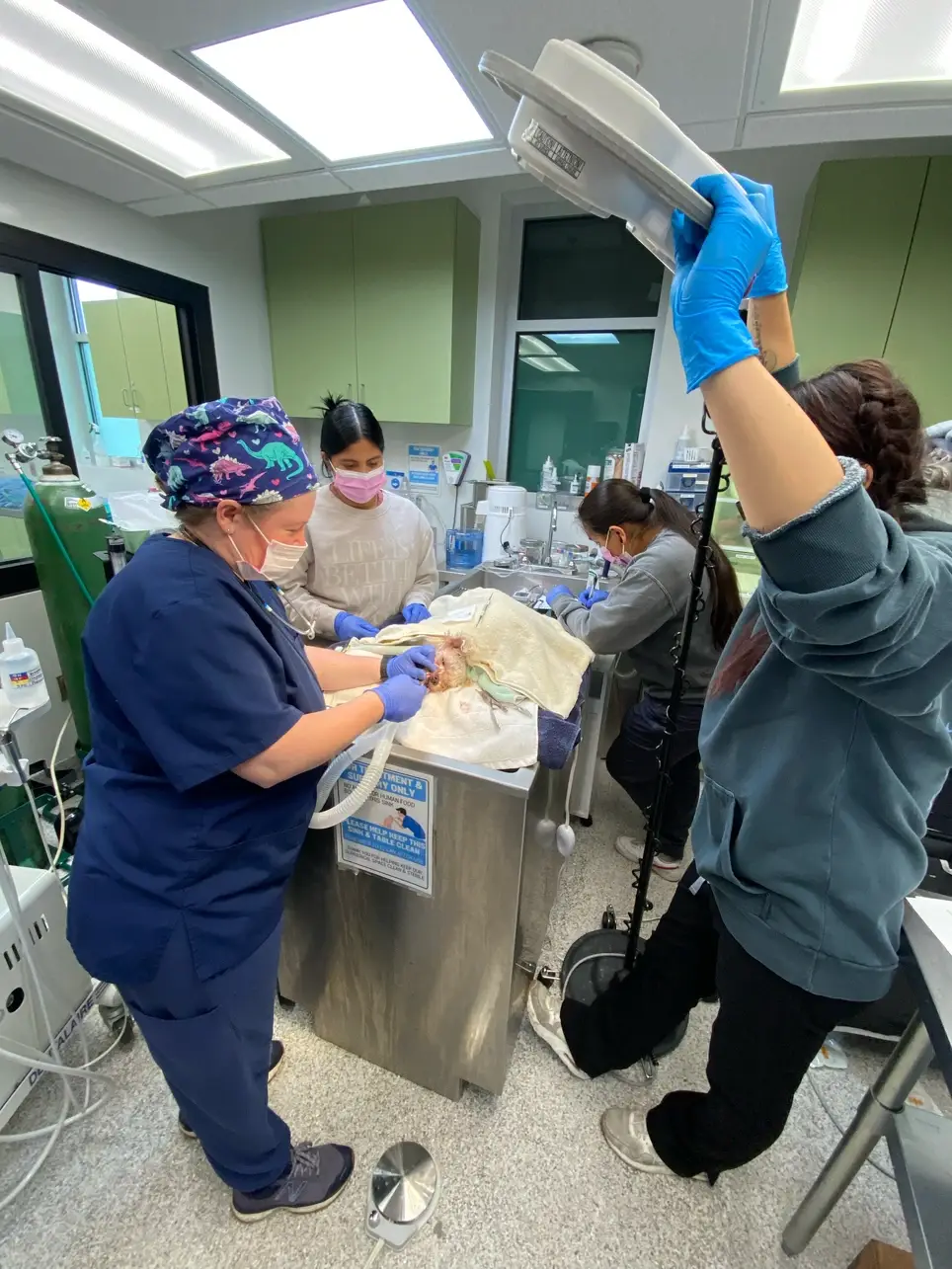 Veterinary Professionals- RVTs, Vet Techs & VAs