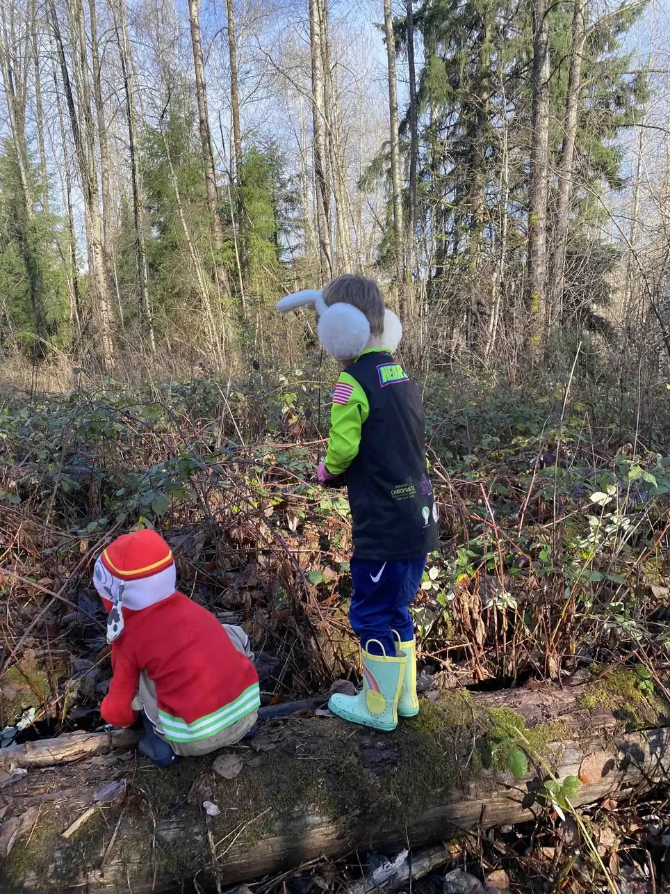 5/16 Swamp Creek Habitat Restoration Project Work Party (in Kenmore) - Wallace Swamp Creek Park