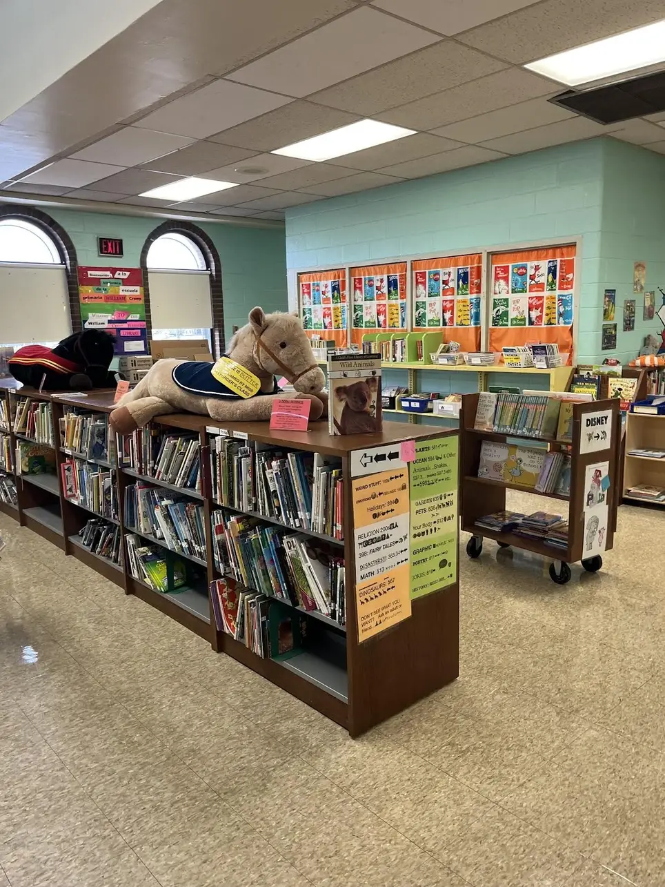 Volunteer Children's Library Assistant
