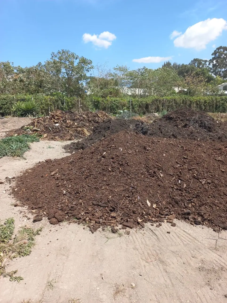Volunteer Opportunity: Sustainable Living, Compost & Pollinator Project (Housing + Veggies Exchange)