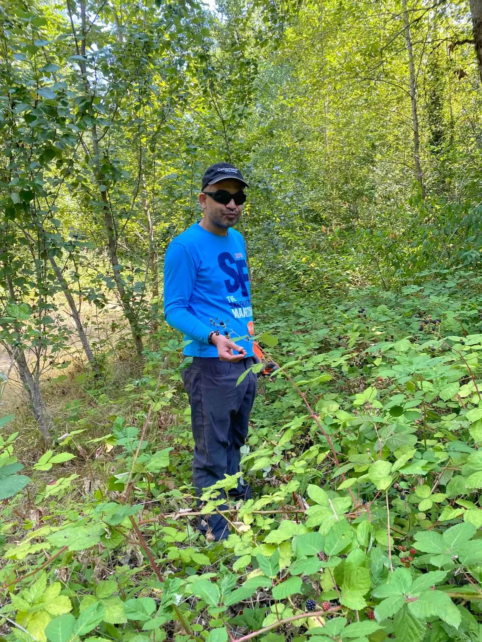 10/4 Swamp Creek Habitat Restoration Project Work Party (in Kenmore) - Wallace Swamp Creek Park