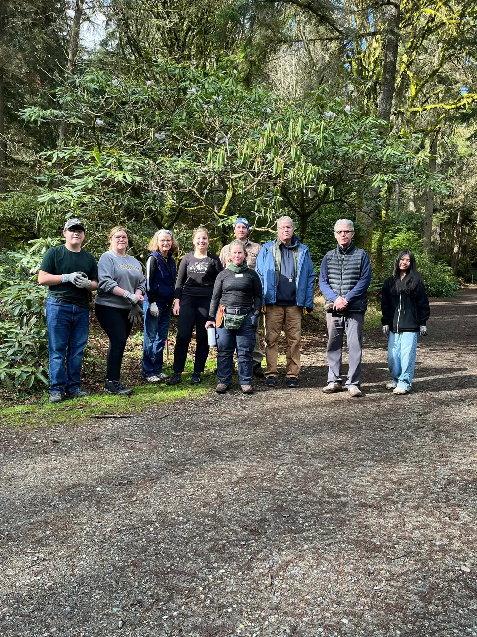 Point Defiance Rhododendron Garden Work Party, November 29th, 9am-noon!