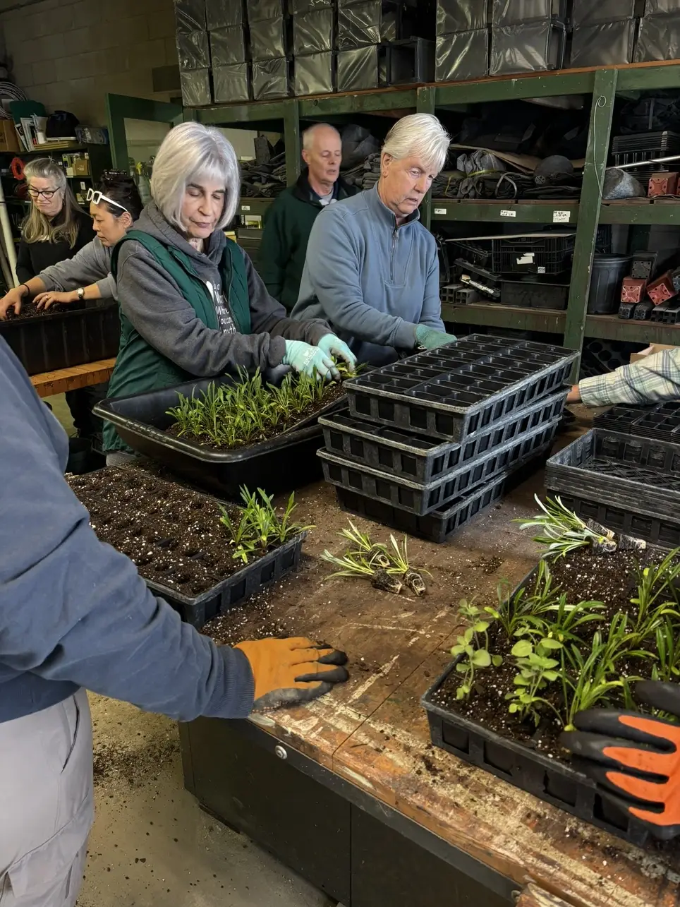 Hidden Lake Gardens Volunteer Program