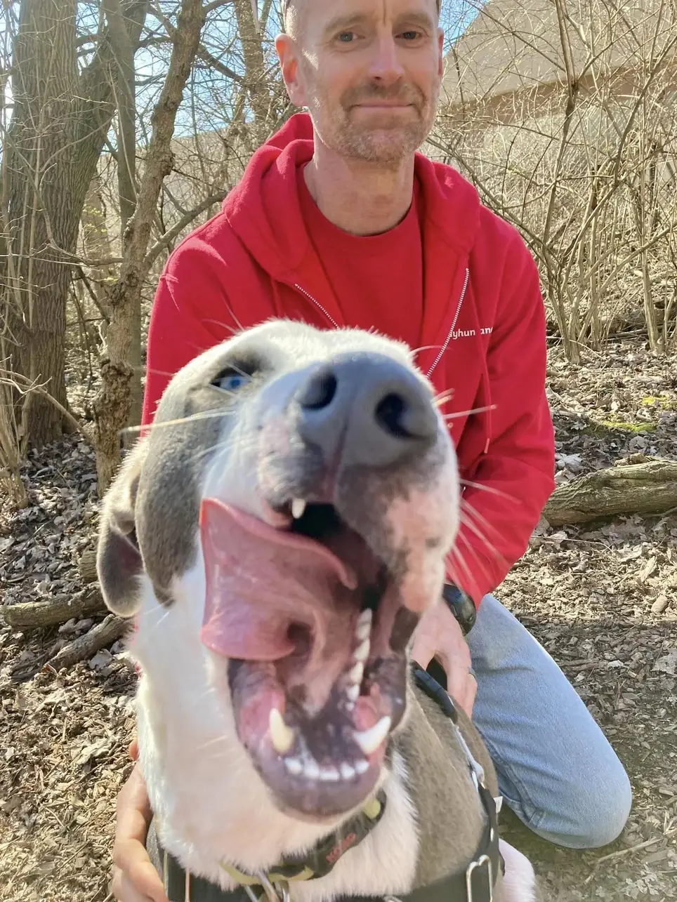 Canine Companion- Closing Shift 4-7:30 Needed! Weekends!