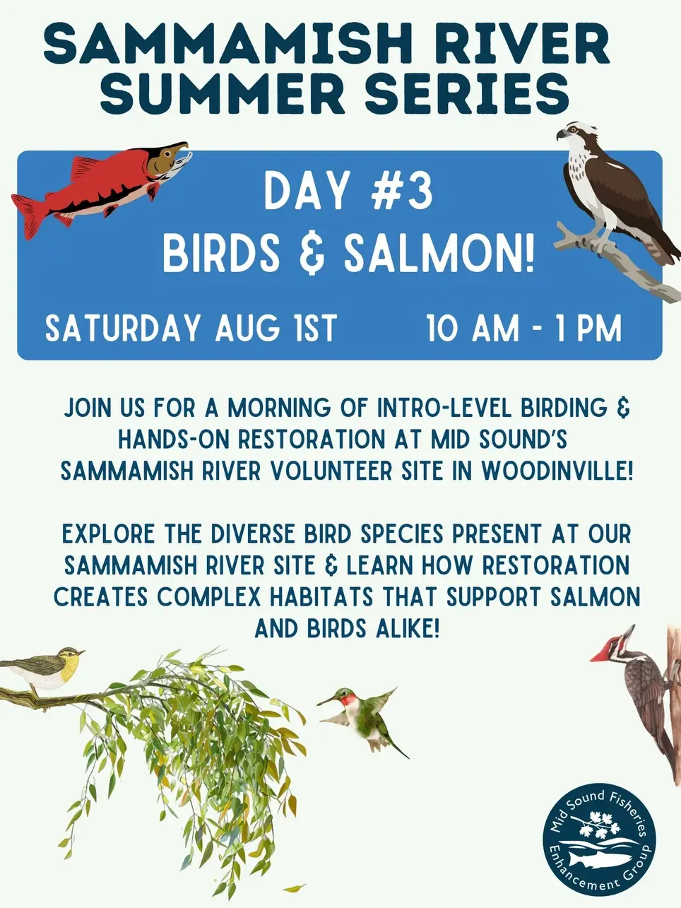 8/1/2026 Salmon Habitat Restoration & intro to birding along the Sammamish River (Woodinville)