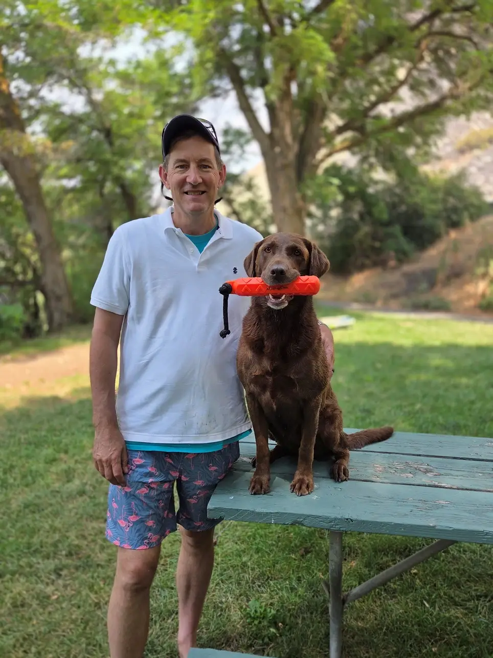 Animal-Assisted Therapy (AAT) Dog Handler Volunteer