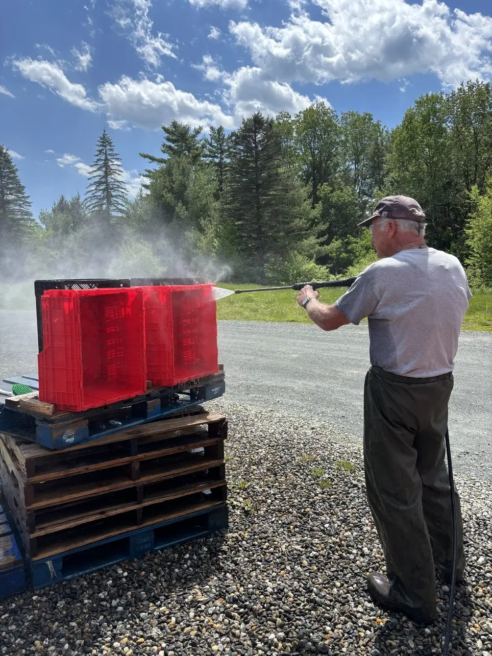 Help Wash Food Bins for Food Recovery at Willing Hands