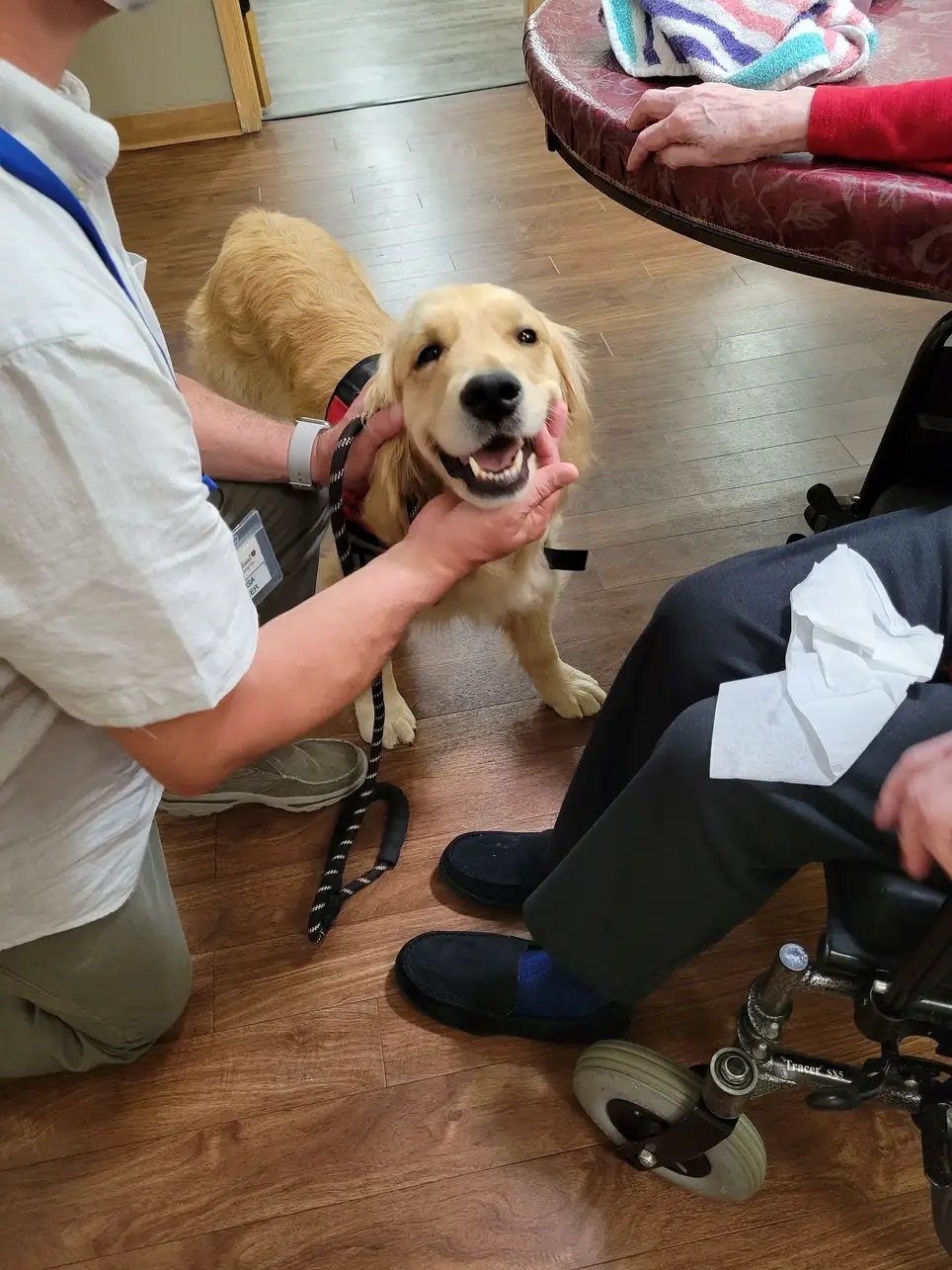 Share Your Therapy Pet's Unconditional Love with a Hospice Patient!