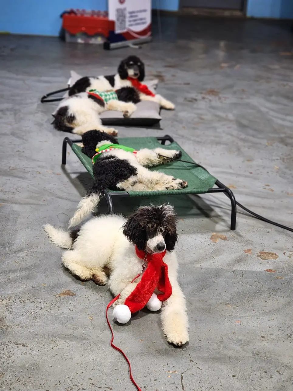 High School ROTC Ambassadors