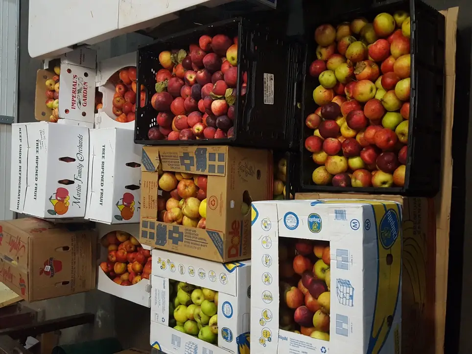 Food Recovery at Port Orchard Farmers Market