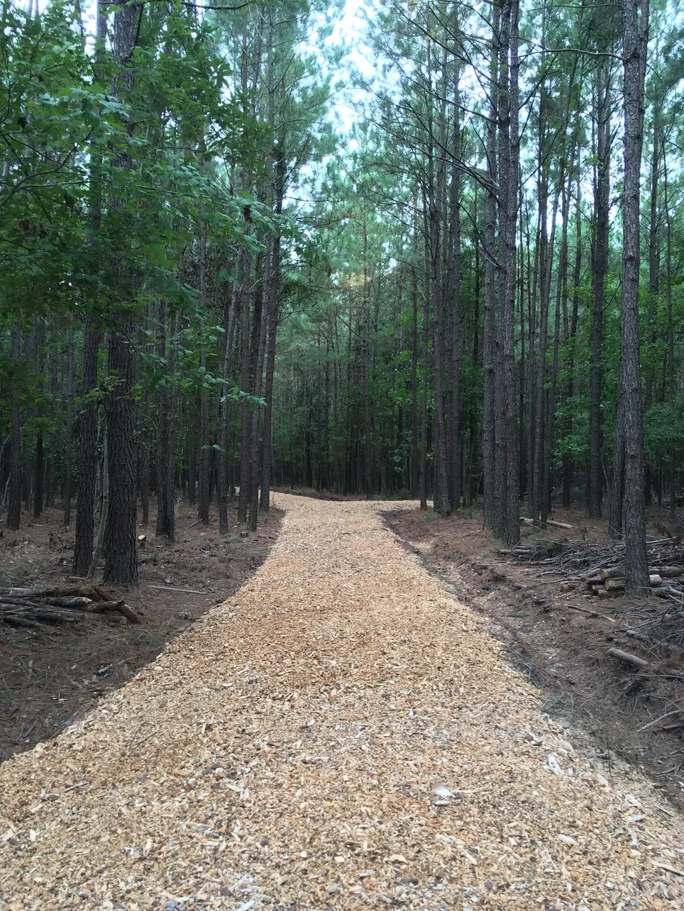 Nature trail & dog park help