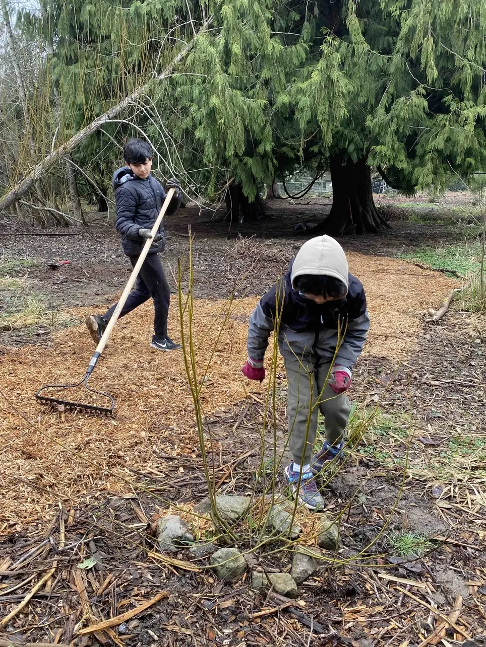 8/29 Swamp Creek Habitat Restoration Work Party (in Kenmore) - 175th St/Swamp Creek SOUTH