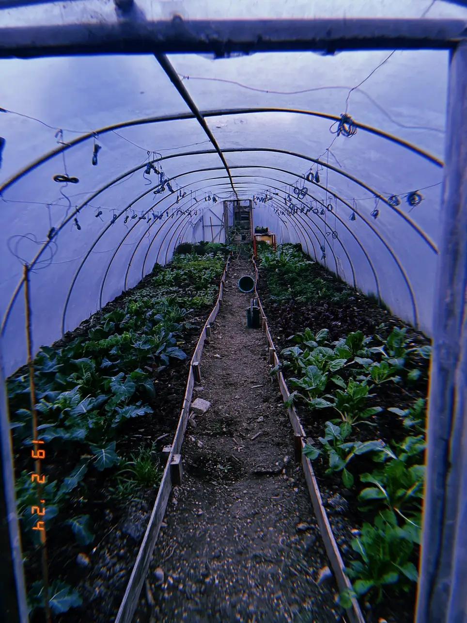 Gardener