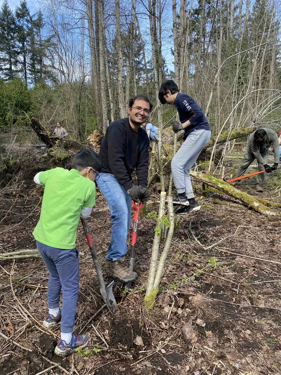 8/1 Swamp Creek Habitat Restoration Project Work Party (in Kenmore) - Wallace Swamp Creek Park