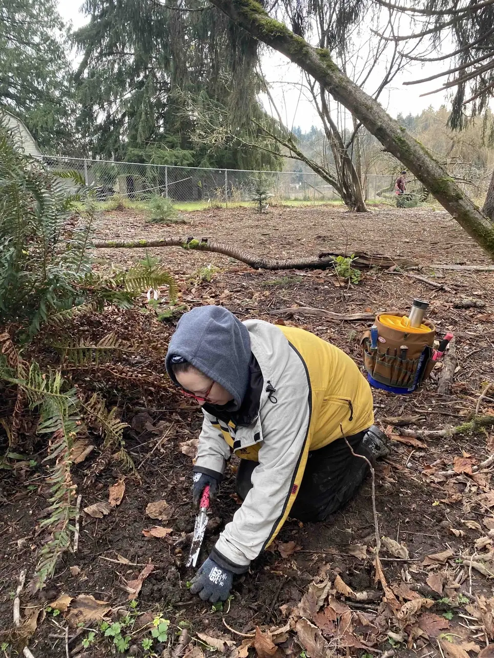 1/23 Swamp Creek Habitat Restoration Work Party (in Kenmore) - 175th St/Swamp Creek SOUTH