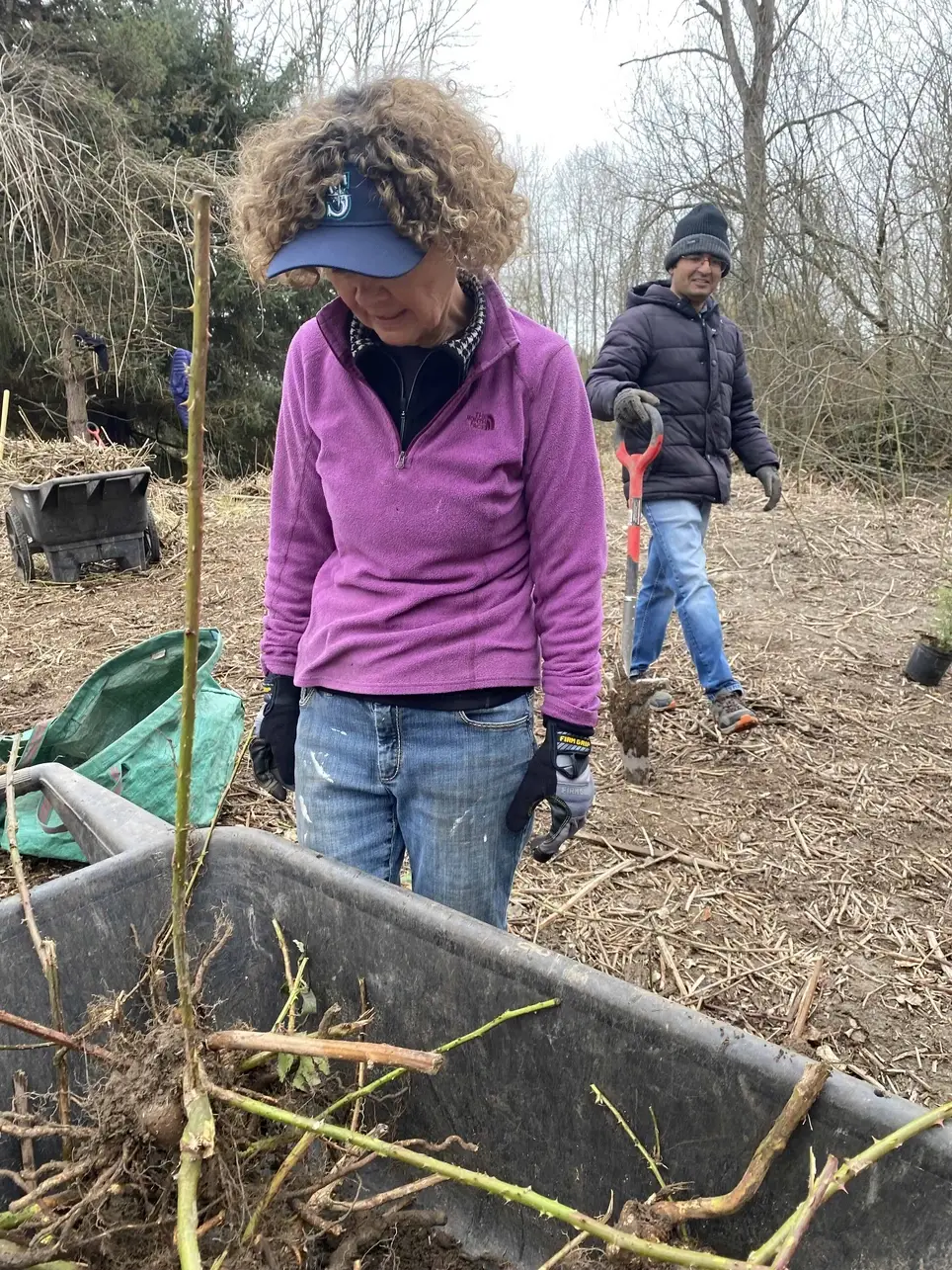 3/7 Swamp Creek Habitat Restoration Work Party (in Kenmore) - 175th St/Swamp Creek SOUTH