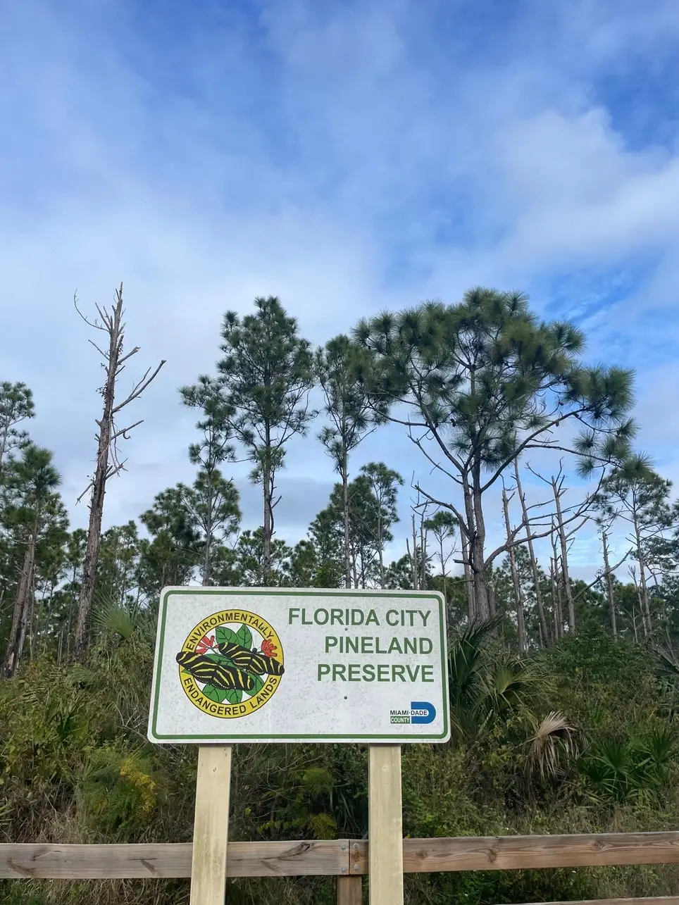 Pine Rockland Restoration for MLK Day of Service