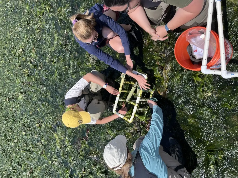 Grays Harbor Climate Resilience Site Guardian