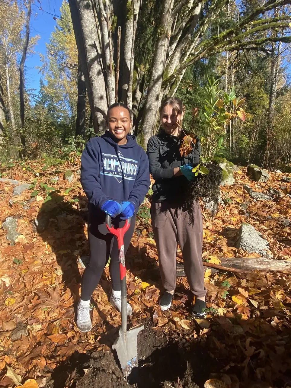 1/19 Swamp Creek Habitat Restoration Project Work Party (in Kenmore) MLK JR DAY OF SERVICE - Wallace Swamp Creek Park
