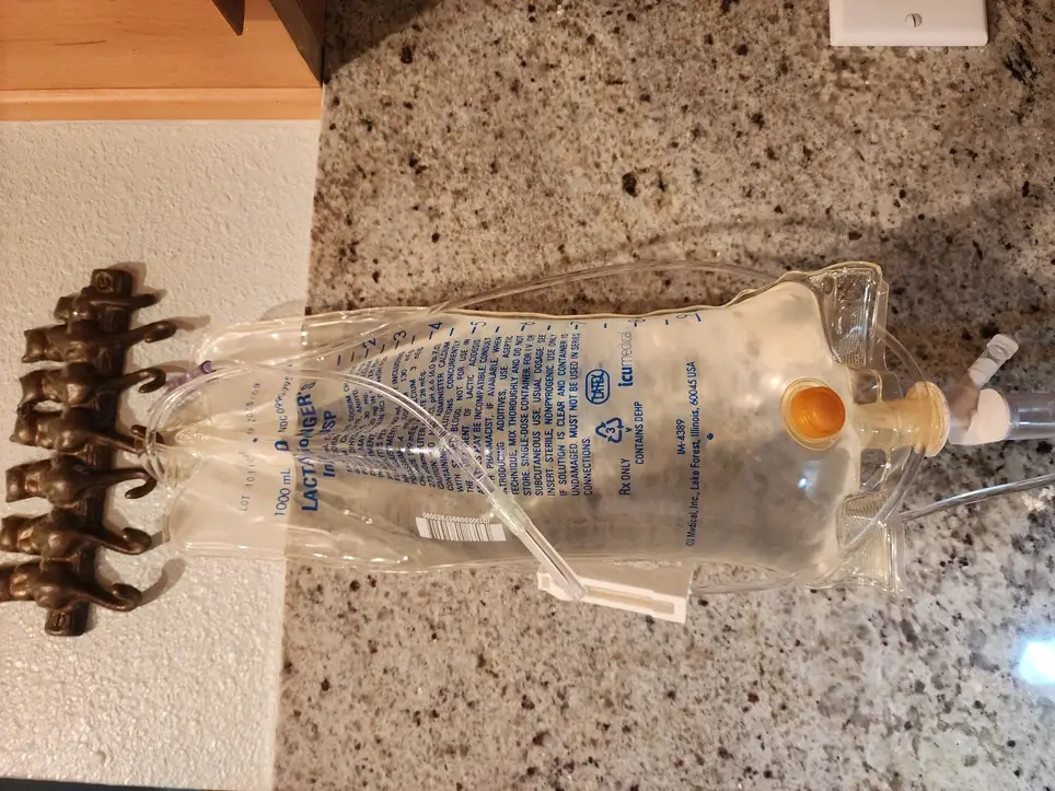 PRE-VET INTERNSHIP PROGRAM  - QUALIFIES VET TRACK STUDENTS 