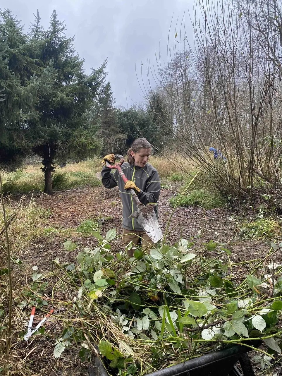 2/7 Swamp Creek Habitat Restoration Work Party (in Kenmore) - 175th St/Swamp Creek SOUTH