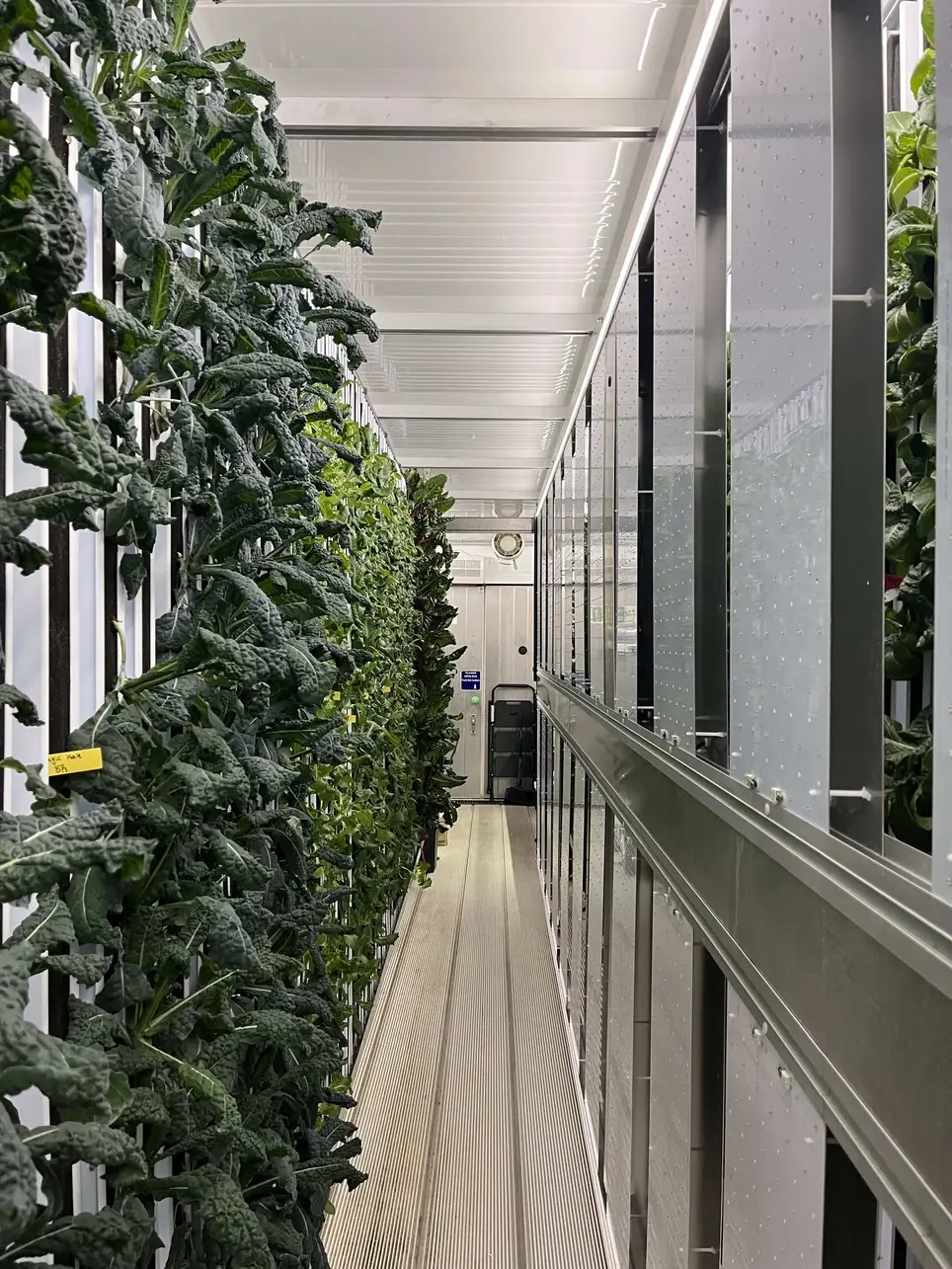 Hydroponic Farm Volunteer - Camp Riverside