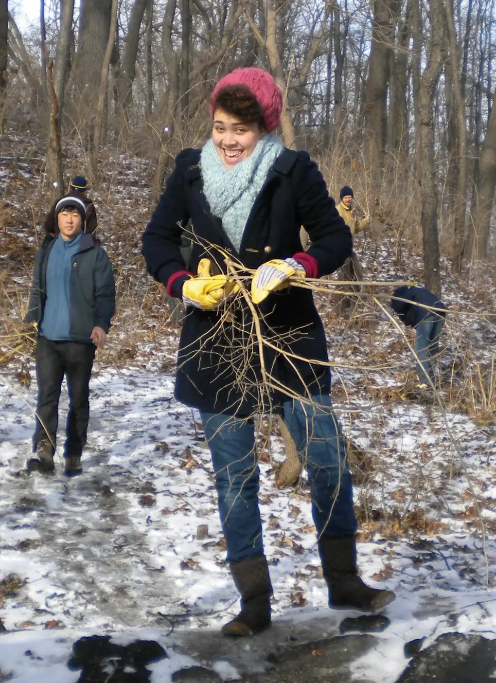 Invasive Shrub Cutting Mary Beth Doyle Park