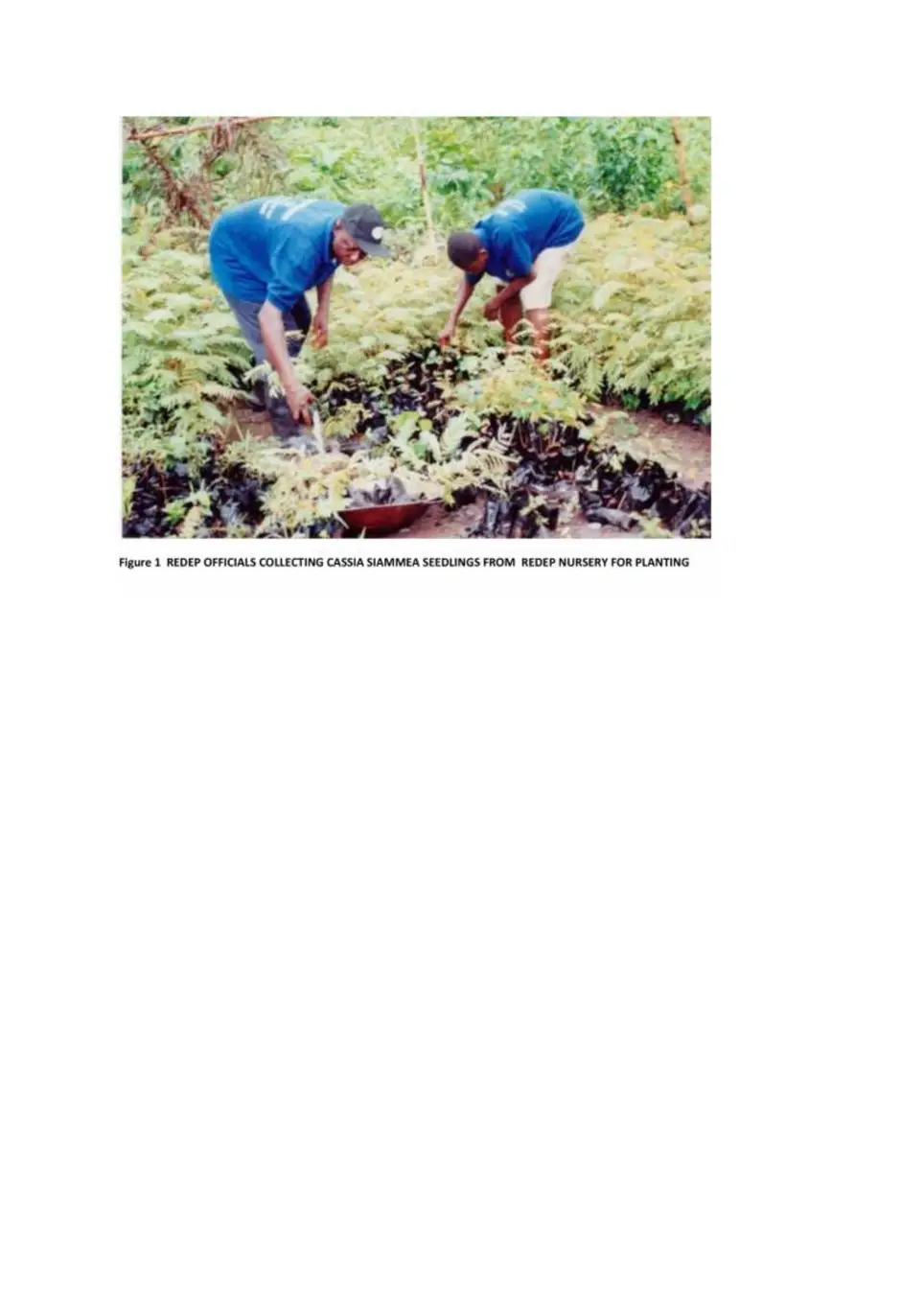 PARTNERS TO SUPPORT PROJECT ACTIVITIES