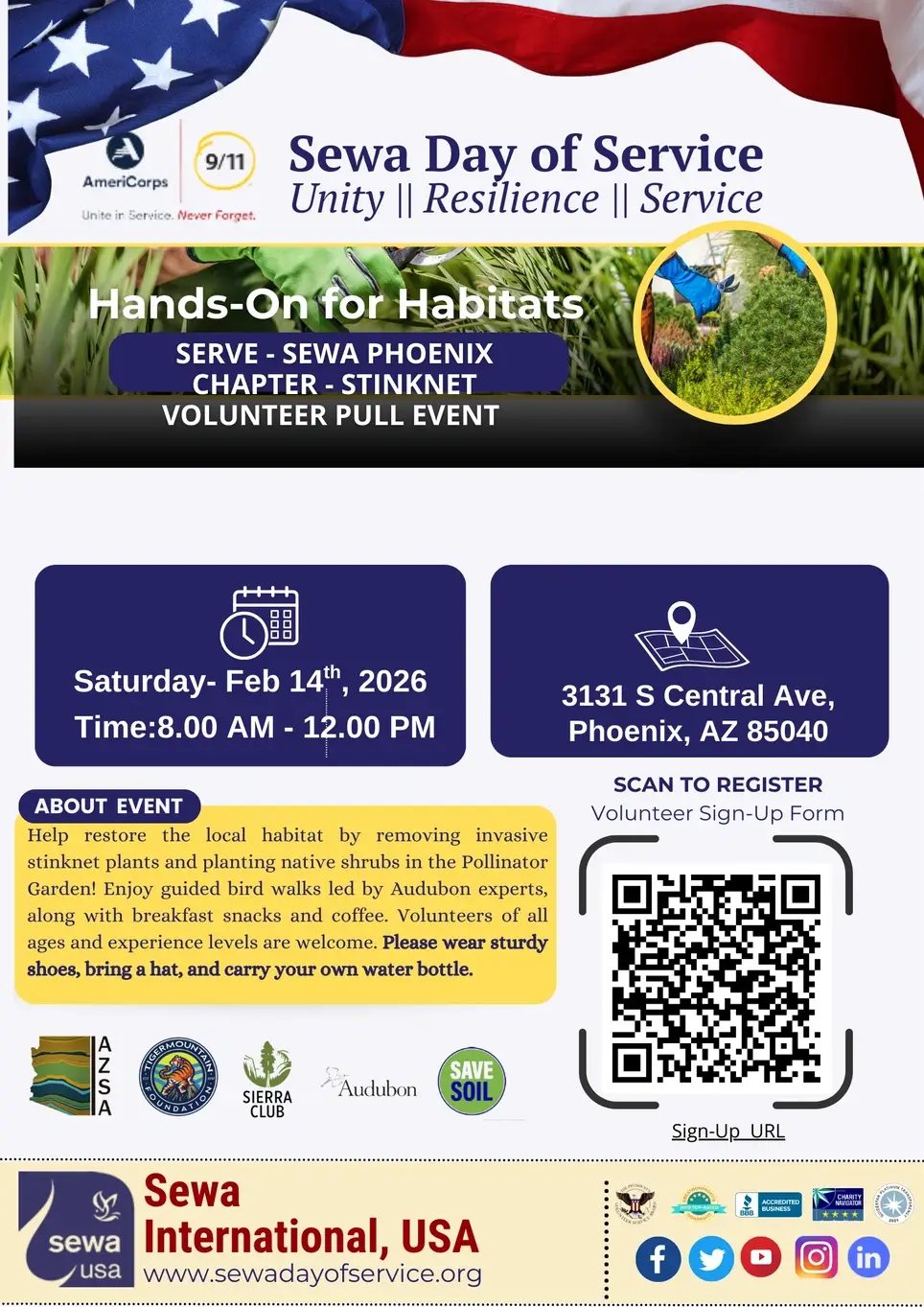 Invasive Stinknet plant removal