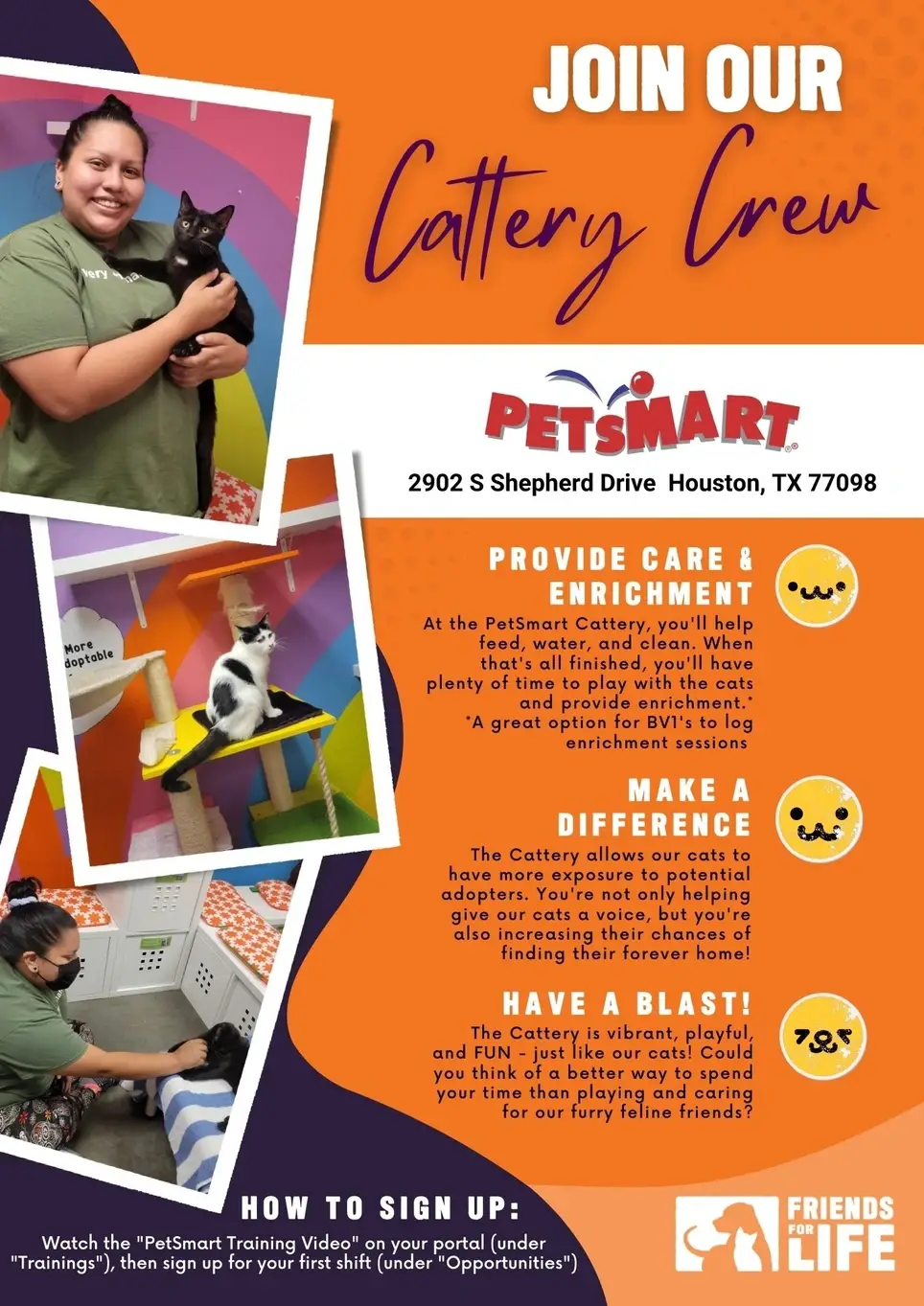 PetSmart Cattery Volunteer