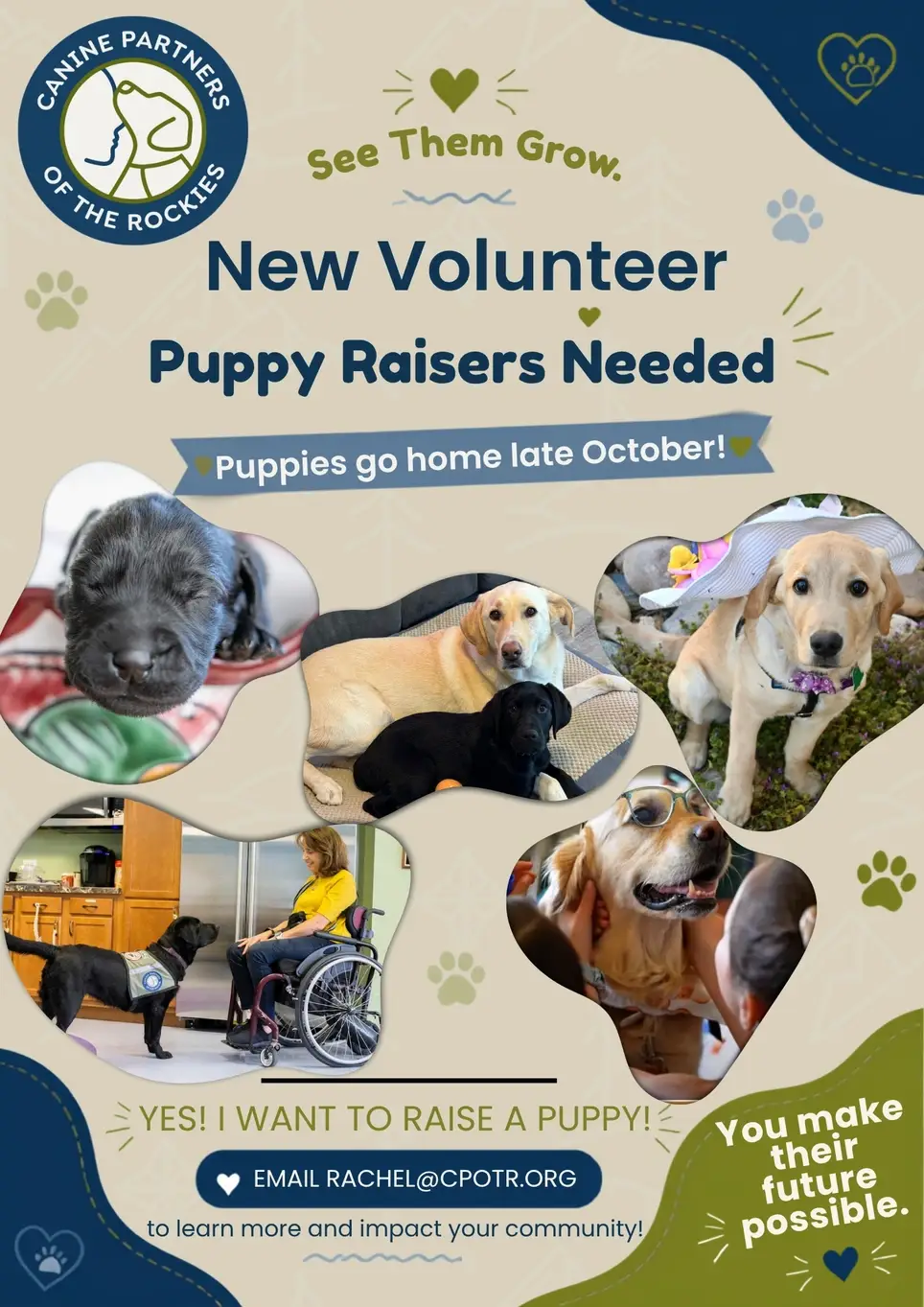 Raise a Puppy, Change a Life (Yes, We Cover the Food & Vet Bills!)