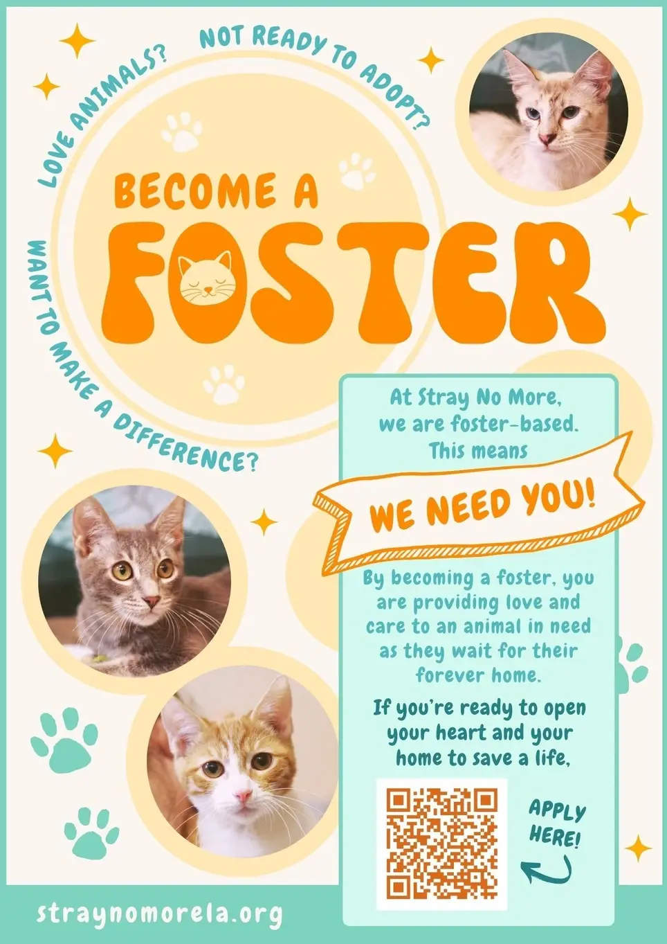 Foster Home Volunteer -- Help Us Save Cats and Kittens!