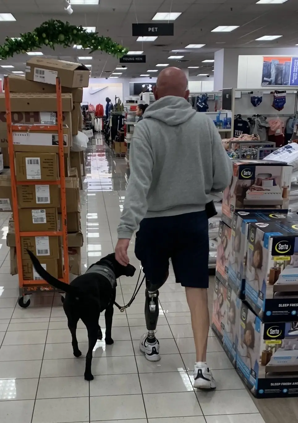 Putnam Service Dogs' Volunteer Board Member