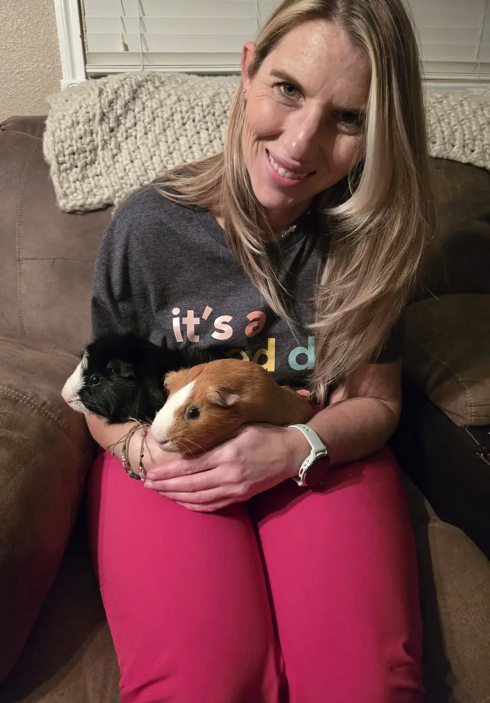 Short Term Fosters for Guinea Pigs