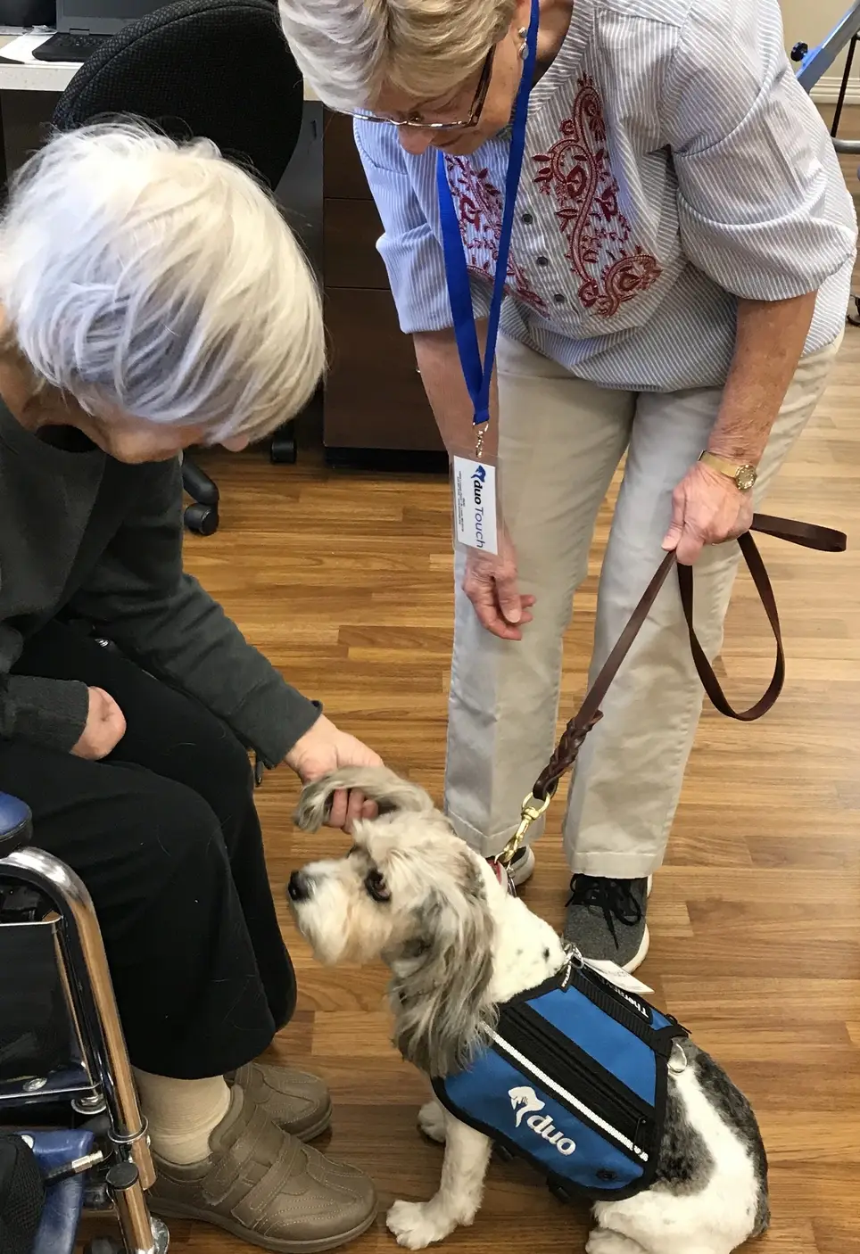 Friendly Pet Visitors Needed at EverTrue Mason Pointe in Town and Country!