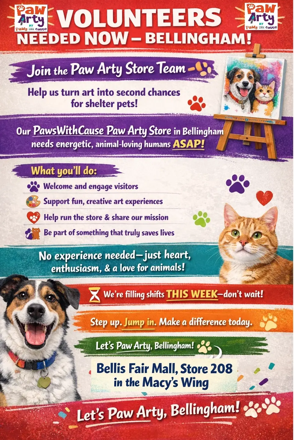 Join the Paw Arty Crew – Our Bellingham Store Needs You!