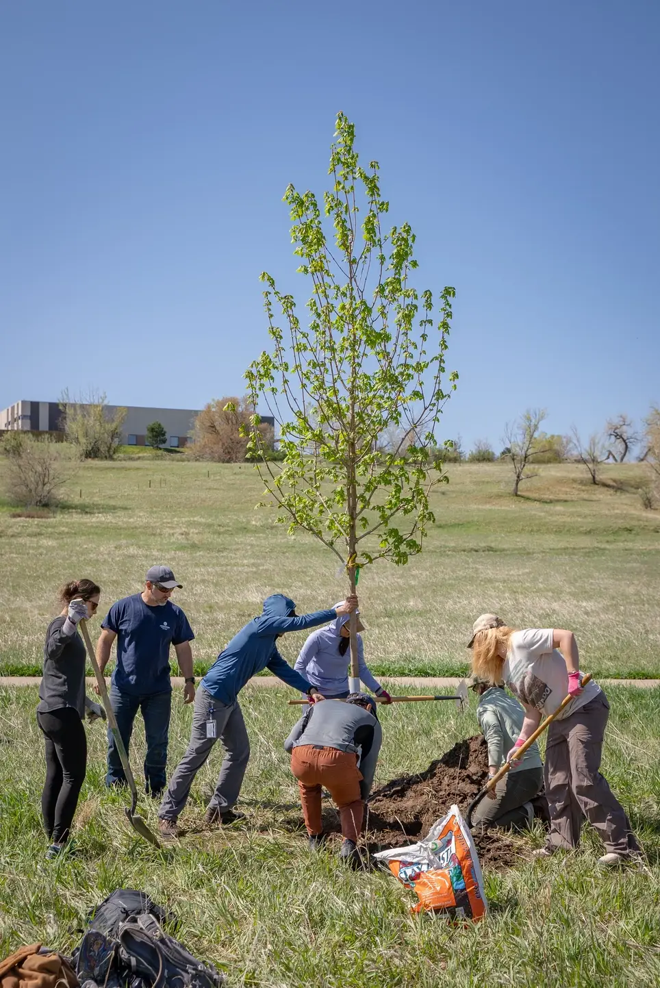 Earth Day Volunteer Projects