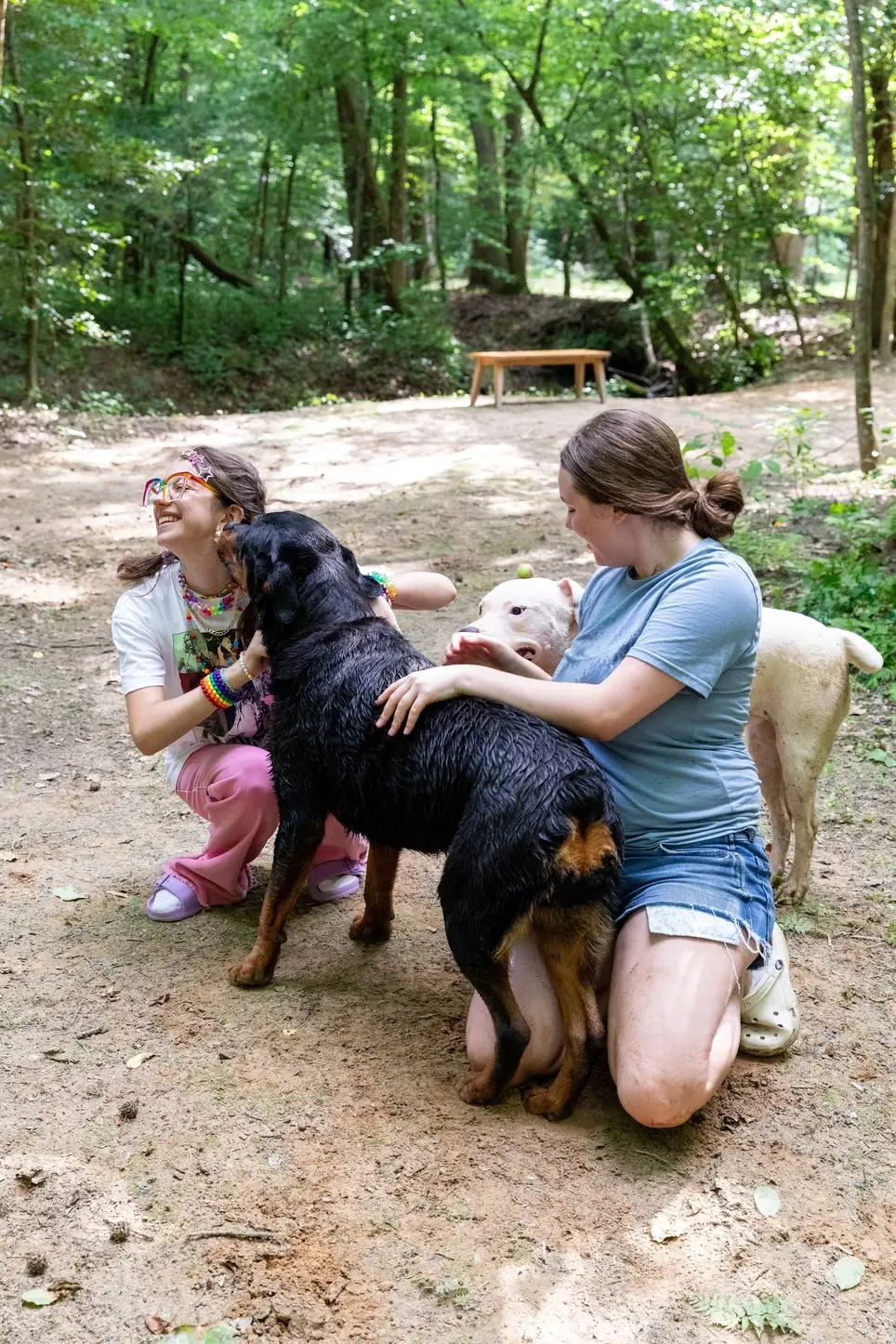 Rehoming Program Lead for Legacy Paws Rescue