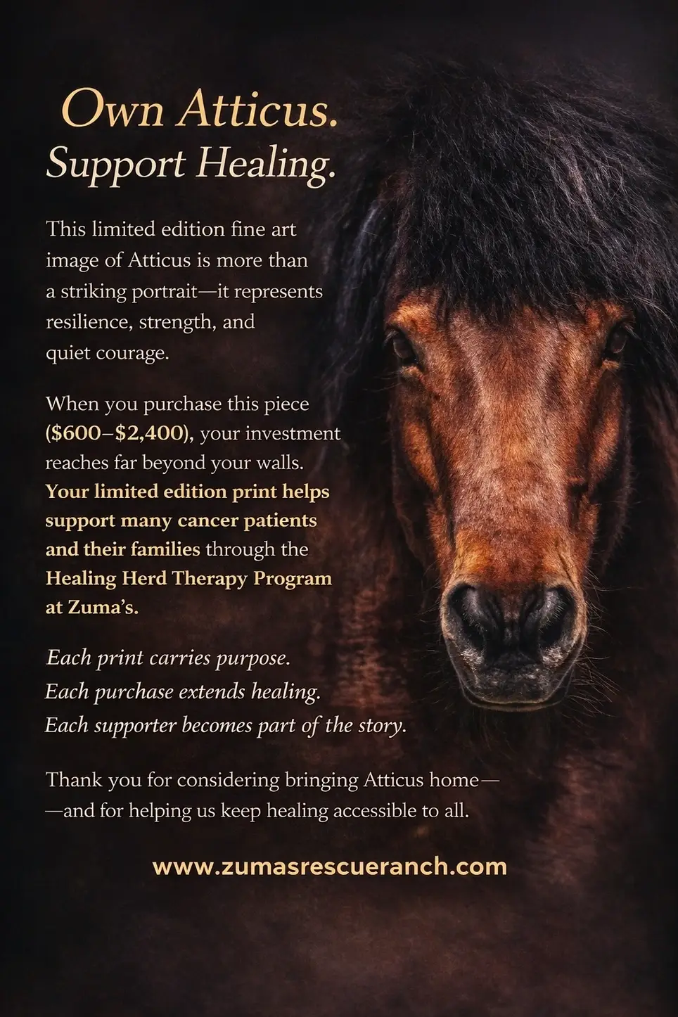 Donor Management Professional