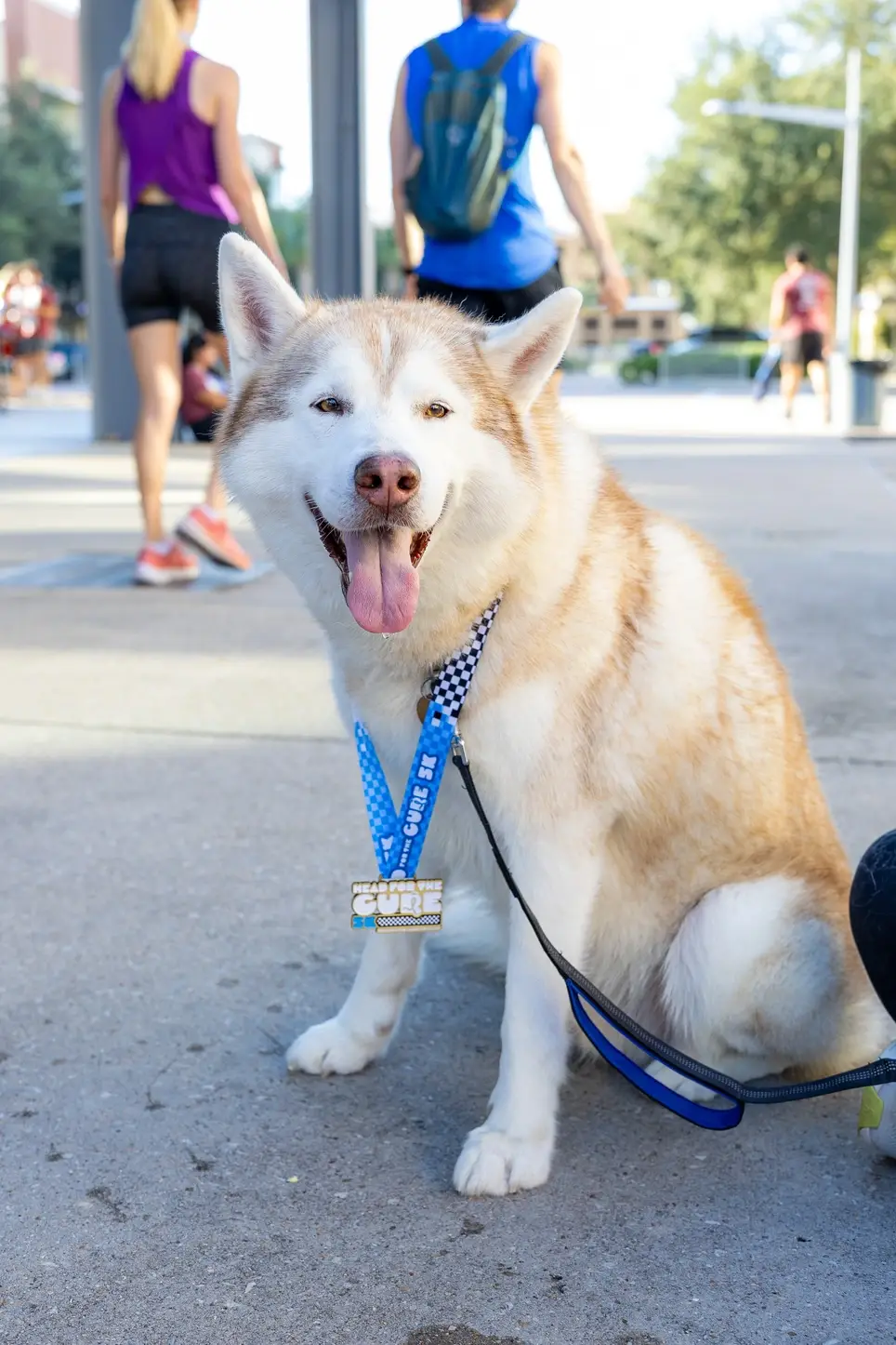 14th Annual Head for the Cure 5K - Houston