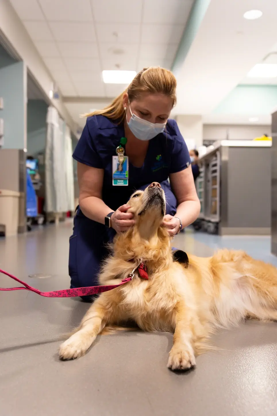 "Pet Therapy" Comfort Dog Volunteers - Visit With Their Humans