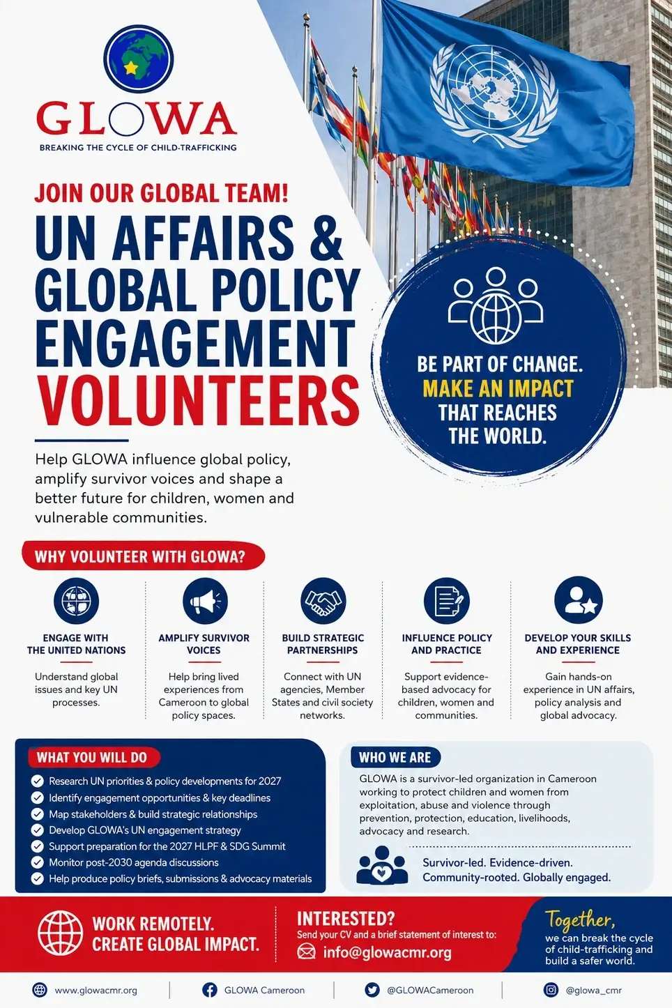 UN Affairs & Global Policy Engagement Volunteer