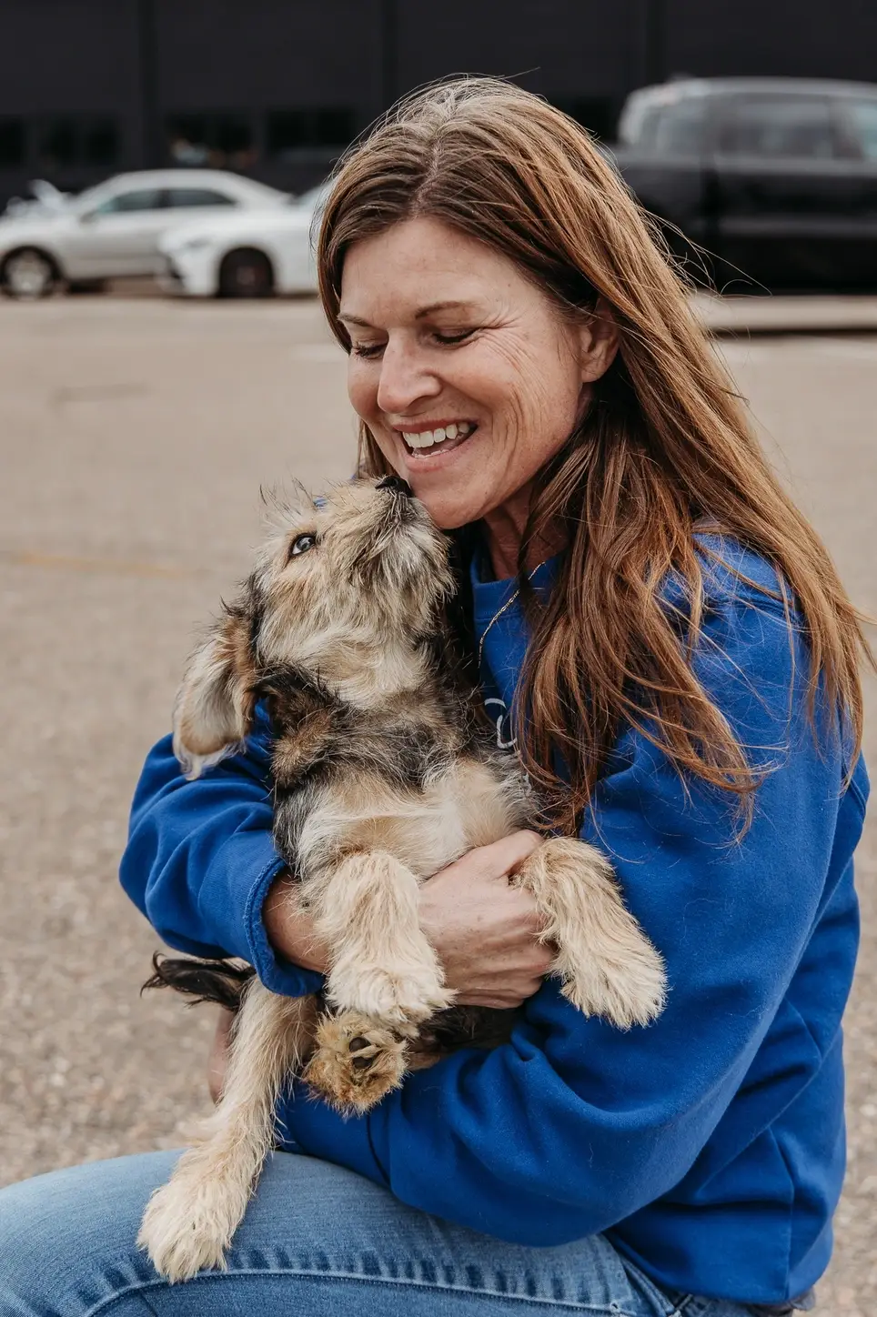 Animal Foster