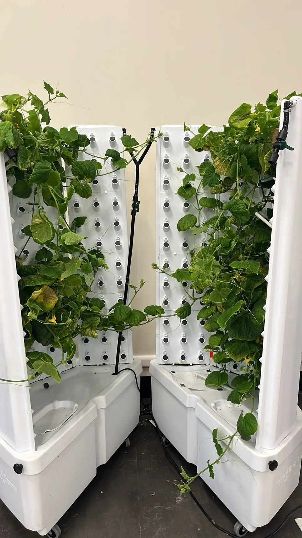 Garden & Nutrition Enrichment Program Internship