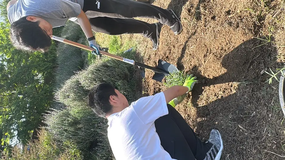 Habitat Restoration Day with FOLAR and Breathe So Cal