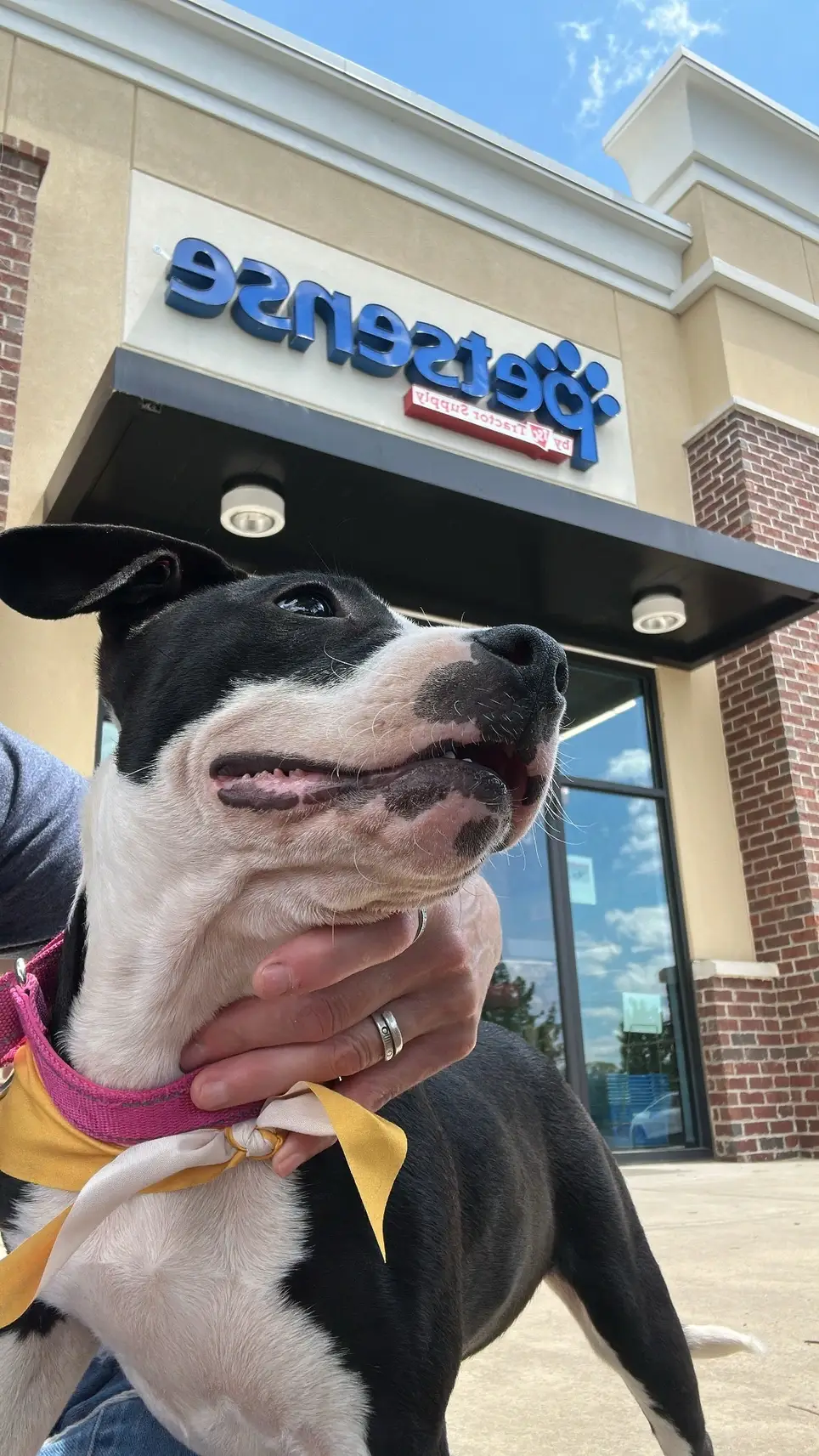 Event Coordinator for Legacy Paws Rescue