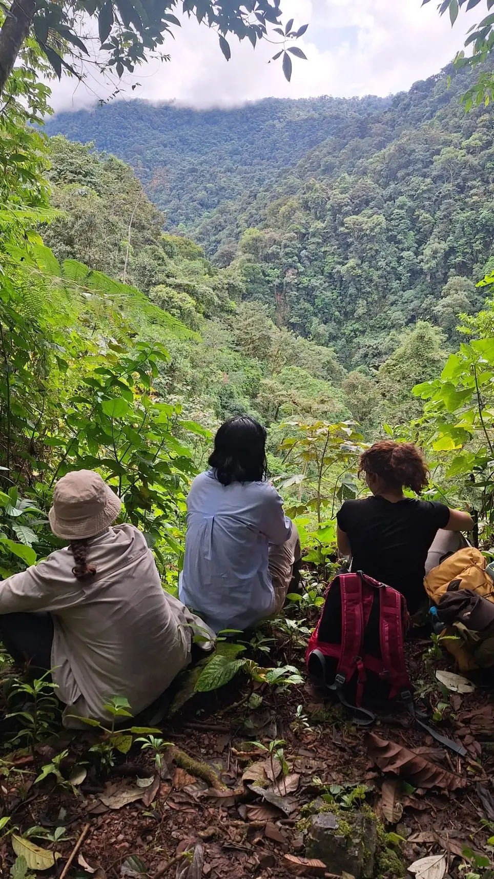 NGO Management & Sustainable Development Program – Amazon Rainforest