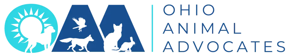 Grassroots Animal Advocacy Volunteer