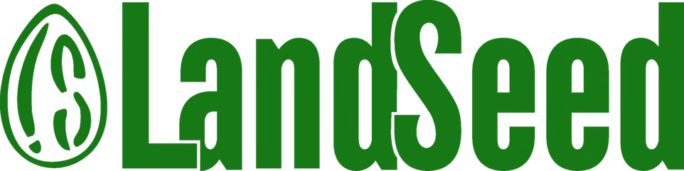 Researcher (Lead)